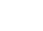 Dkt